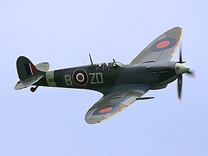 300px-Ray_Flying_Legends_2005-1.jpg