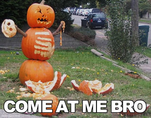 Come-at-me-bro-Pumpkin-man.jpg
