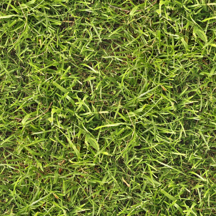 Seamless_grass_texture_by_hhh316.jpg