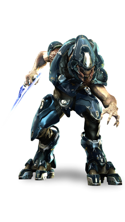 Storm_Sangheili.png